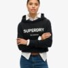 Core Sport Crop Box Hoodie