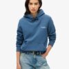Essential Logo Hoodie Essential Logo Hoodie