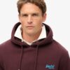 Essential Logo Hoodie Essential Logo Hoodie