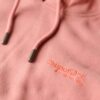 Essential Logo Hoodie Essential Logo Hoodie