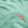 Essential Logo Hoodie