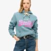 Hoodie med dekorerad Vintage-logotyp