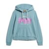 Hoodie med dekorerad Vintage-logotyp