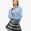 Hoodie med regnbågslogotyp