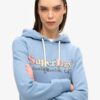 Hoodie med regnbågslogotyp