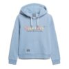Hoodie med regnbågslogotyp