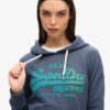 Hoodie med ton-i-ton Vintage-logotyp