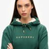 Luxe Metallic Logo Hoodie Klänning Luxe Metallic Logo Hoodie Klänning