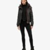 Pop Zip Hooded Arctic SD-Windcheater Jacket