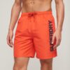 Sport Graphic 17-tums återvunna badshorts