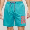 Sportswear Logo 17-tums återvunna badshorts
