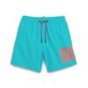 Sportswear Logo 17-tums återvunna badshorts