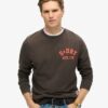 Sweatshirt med sportigt tryck