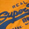 T-shirt med broderat Vintage-logo T-shirt med broderat Vintage-logo