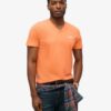 T-shirt med V-ringning och Organic Cotton Essential-logotyp