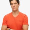 T-shirt med V-ringning och Organic Cotton Essential-logotyp