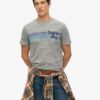 Terrain Striped Logo T-shirt