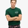 Vintage Logo Heritage Chest T-shirt